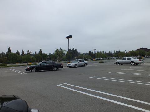 2003 Ford Crown Victoria - Photo of several Ford Crown Victoria sedans in a parking lot under overcast skies, not a technical document.