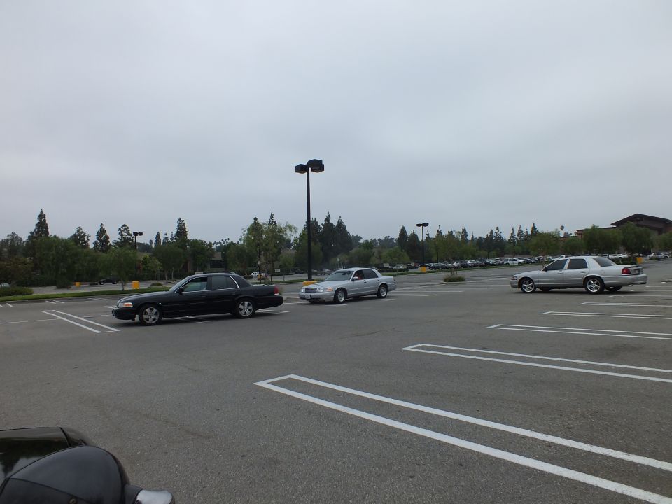 Three Crown Victoria sedans parked in an empty overcast parking lot
