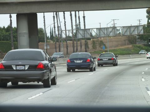 2003 Ford Crown Victoria - line of dark Ford sedans travels a freeway lane past tall palm trees and a concrete overpass support.