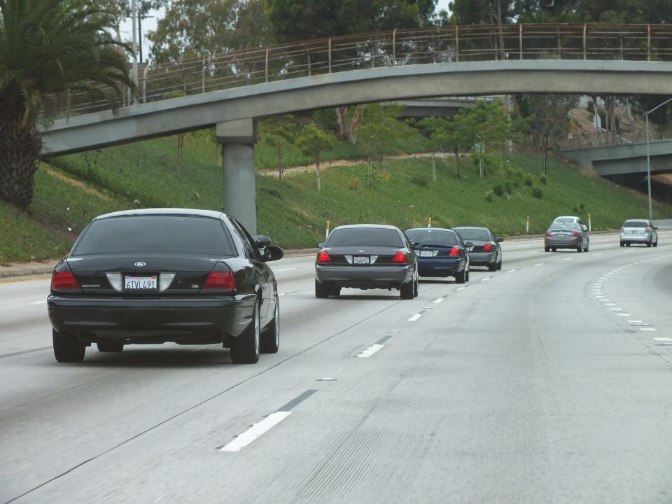 Line of black Ford sedans following each other on a curving freeway under an overpass