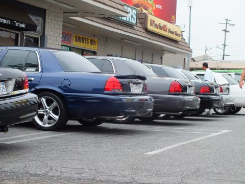 2003 Ford Crown Victoria - Photo of a row of Ford Crown Victoria sedans parked outside strip mall storefronts.