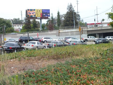 2003 Ford Crown Victoria - Photo of cars parked overlooking a freeway, with a Kick-Ass 2 billboard and flowering ice plant in front.