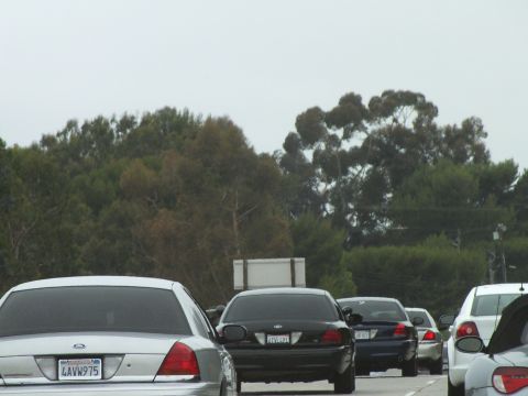2003 Ford Crown Victoria - Driving photo from behind several sedans on a road with trees in the background, not a technical document.