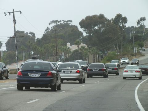 2003 Ford Crown Victoria - Photograph of several sedans in traffic on a tree-lined coastal highway, not a technical document.