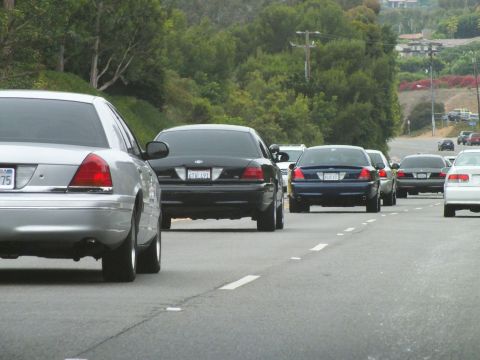 2003 Ford Crown Victoria - Silver and black Ford Crown Victoria sedans travel in a row on a tree-lined highway with hillside homes beyond.