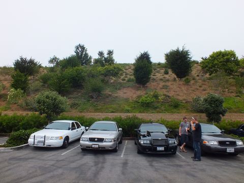 2003 Ford Crown Victoria - Photograph of a row of sedans parked in a lot below a brushy hillside with people gathered, not a technical document.