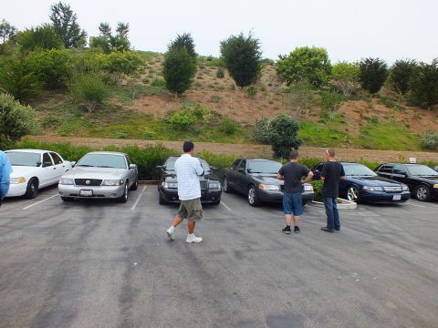 2003 Ford Crown Victoria - Photo of people gathered behind a row of parked sedans in a lot below a green hillside.