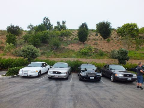 2003 Ford Crown Victoria - Photo of four sedans parked in a row in a lot with one person standing beside them.