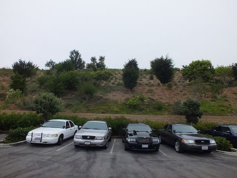 2003 Ford Crown Victoria - Photo of four sedans parked in a row in a lot below a brushy hillside.