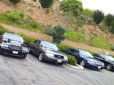 2003 Ford Crown Victoria - Photo of several dark full-size sedans parked at an angle in a lot beside a retaining wall.