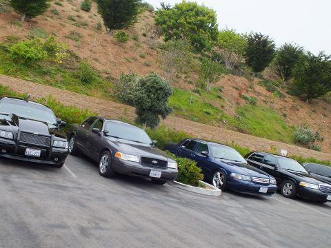 2003 Ford Crown Victoria - Photo of several full-size sedans parked at an angle in a parking lot below a brushy hillside.
