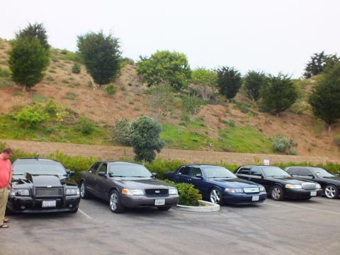 2003 Ford Crown Victoria - Photo of a row of full-size sedans parked in a lot with a person standing at the far left.