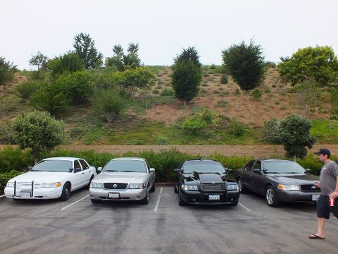 2003 Ford Crown Victoria - Photo of four parked sedans with a man in a gray shirt standing at the right of the lot.