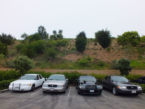 2003 Ford Crown Victoria - Photo of four full-size sedans parked side by side in a lot below a brushy hillside.