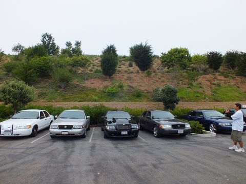 2003 Ford Crown Victoria - Photo of a row of parked full-size sedans with a man photographing them at the right.