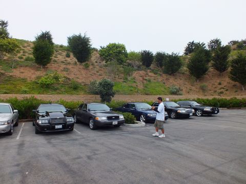2003 Ford Crown Victoria - Photo of several parked sedans with a man standing in the center of the lot.