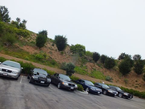 2003 Ford Crown Victoria - Photo of a row of full-size sedans parked at an angle in a lot below a green hillside.