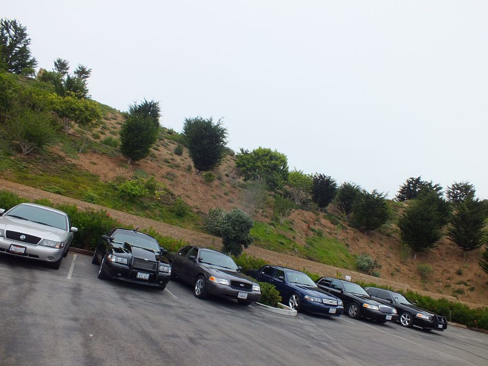 Row of sedans parked at an angle in a lot below a hillside