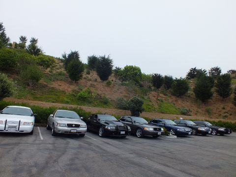 2003 Ford Crown Victoria - Photo of a long row of full-size sedans parked side by side in a parking lot at a car meet.