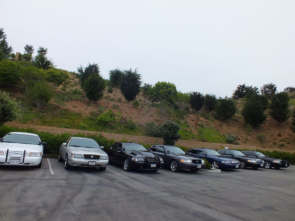Long row of sedans parked side by side in a lot
