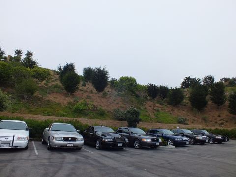 2003 Ford Crown Victoria - Photo of a long row of full-size sedans parked side by side in a lot below a brushy hillside.