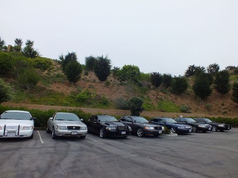 2003 Ford Crown Victoria - Photo of a long row of full-size sedans parked at an angle in a parking lot at a car meet.