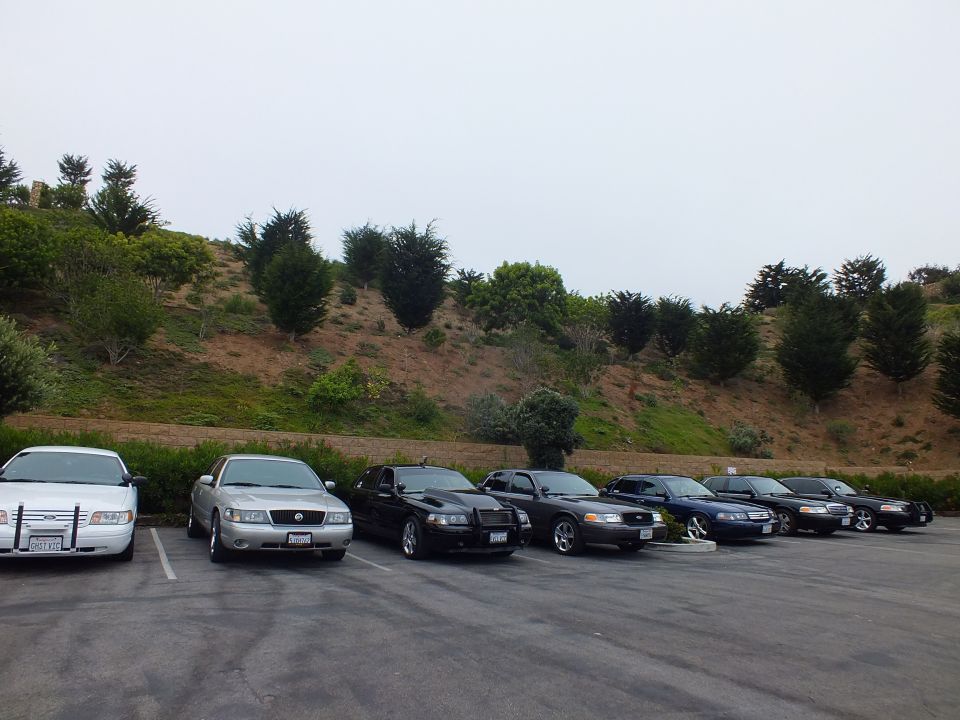 Long row of sedans parked at an angle in a lot