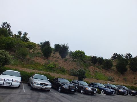 2003 Ford Crown Victoria - Photograph of several full-size sedans parked in a lot beside a vegetated hill, not a technical document.