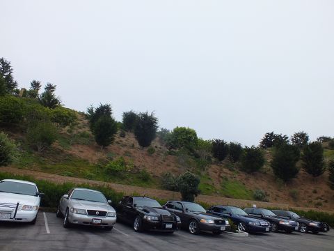2003 Ford Crown Victoria - Photograph of a lineup of parked sedans beside a hill, not a technical document.