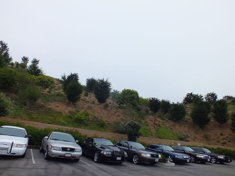 Sedans parked in a lot in front of a grassy hillside
