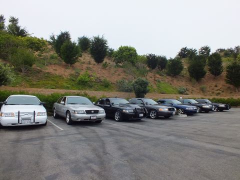 2003 Ford Crown Victoria - Photograph of a row of full-size sedans parked at a hillside meetup, not a technical document.