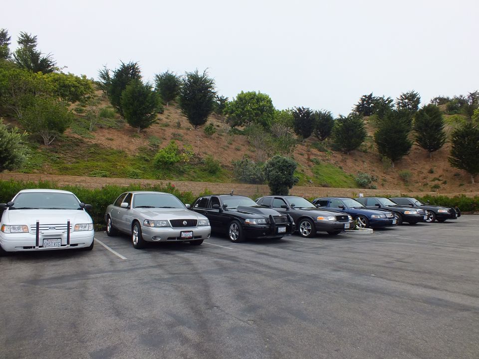 Lineup of parked Crown Victoria and Grand Marquis sedans by a hill