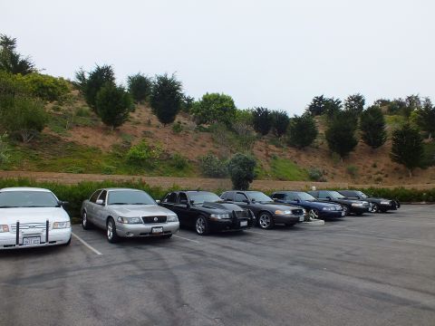 2003 Ford Crown Victoria - Photograph of parked full-size sedans in a lot beside a hill, not a technical document.