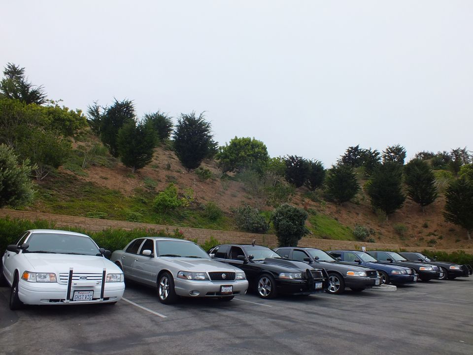 White Crown Victoria and other sedans parked in a lot