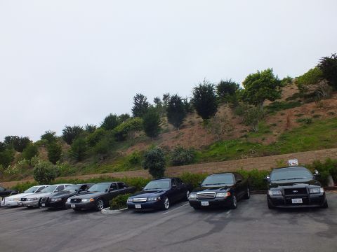 2003 Ford Crown Victoria - Photograph of a diagonal row of parked sedans beside a hill, not a technical document.