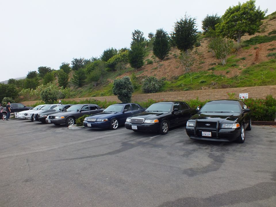 Black Crown Victoria sedans parked in a lot near a hillside