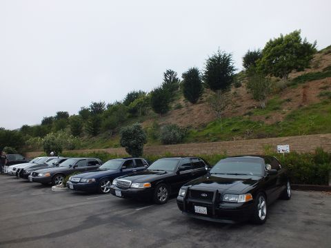 2003 Ford Crown Victoria - Photograph of black full-size sedans parked along a hillside lot, not a technical document.