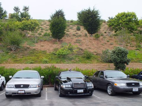2003 Ford Crown Victoria - Photograph of parked full-size sedans facing a hill, not a technical document.