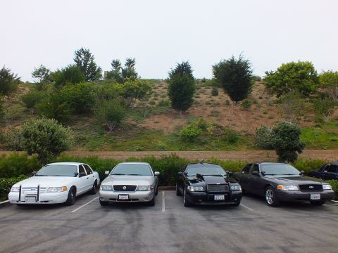 2003 Ford Crown Victoria - Photograph of four full-size sedans parked in a lot beside a hill, not a technical document.