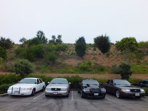 2003 Ford Crown Victoria - Photograph of four parked sedans in a lot in front of a hill, not a technical document.