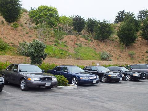 2003 Ford Crown Victoria - Photograph of parked full-size sedans along a hillside lot, not a technical document.
