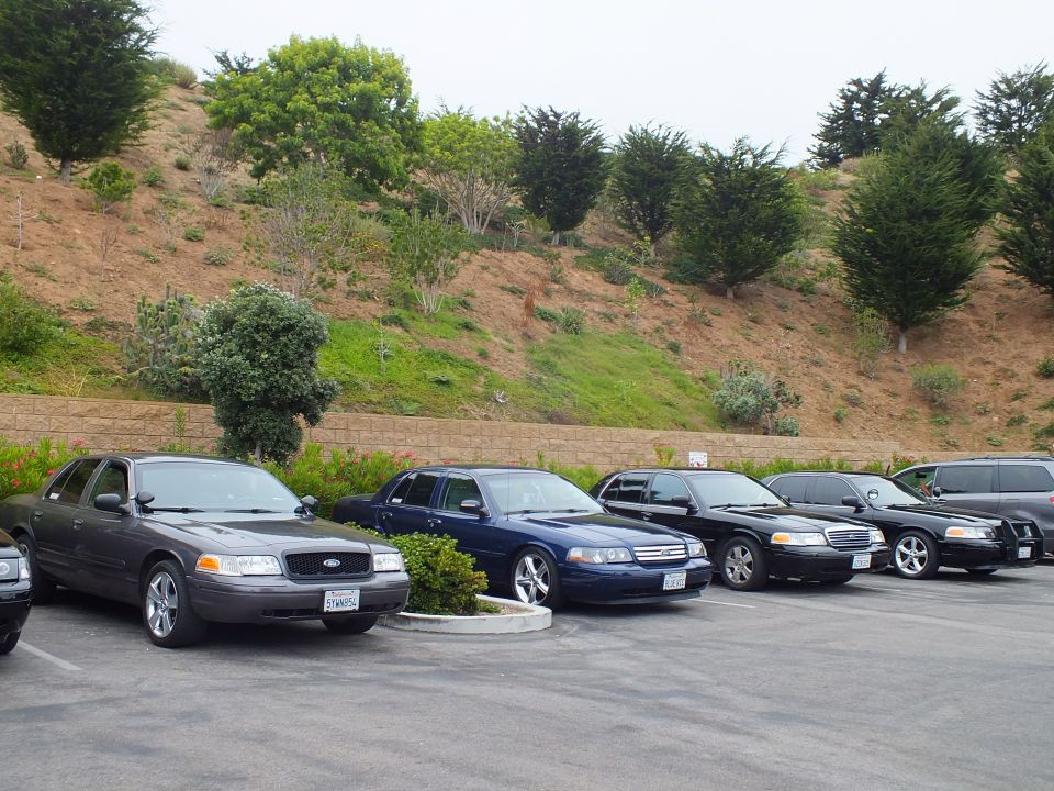 Row of parked sedans beside a retaining wall and hill