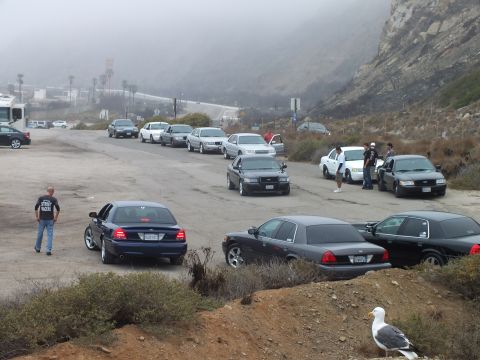 2003 Ford Crown Victoria - Photograph of a car meetup at a foggy coastal parking lot with several sedans, attendees, and a seagull; not a technical document.