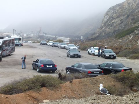2003 Ford Crown Victoria - Photograph of sedans parked at a foggy coastal parking lot with a seagull and hillside; not a technical document.