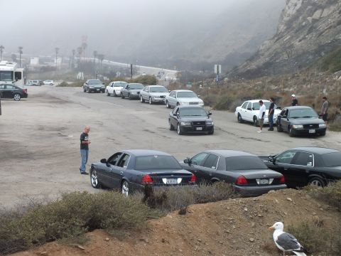 2003 Ford Crown Victoria - Photograph of a coastal car meetup with parked sedans, a man gesturing, and a seagull; not a technical document.