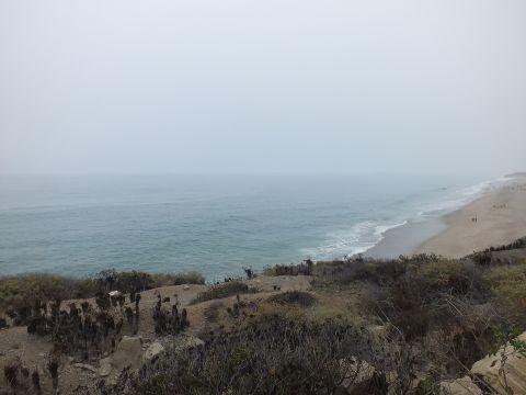 2003 Ford Crown Victoria - Photograph of a foggy ocean and beach seen from a coastal bluff; not a technical document.