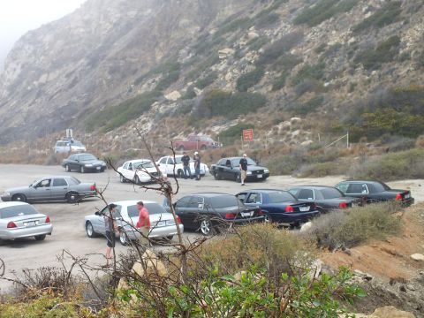2003 Ford Crown Victoria - Photograph of a car meetup with sedans and a pickup at a hazy coastal lot; not a technical document.