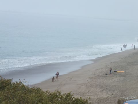 2003 Ford Crown Victoria - Photograph of an overcast coastal beach scene with people and a dog, not a technical document.