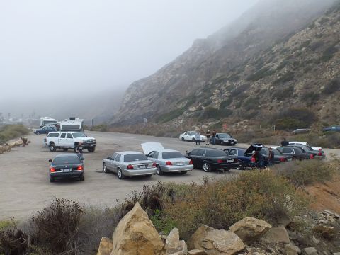 2003 Ford Crown Victoria - row of full-size sedans with hoods and trunks open in a misty canyon pullout, trucks parked to the side.