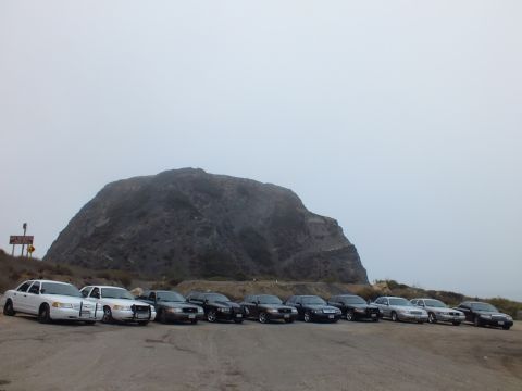2003 Ford Crown Victoria - wide row of white and black sedans parked on cracked pavement in front of a tall rock formation beneath an overcast sky.